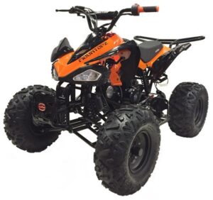 ATV MOUNTOPZ 125-CL (3 speed)