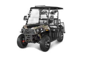 Golf Cart Rover 200 EFI
