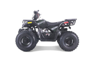 MUDHAWK 10